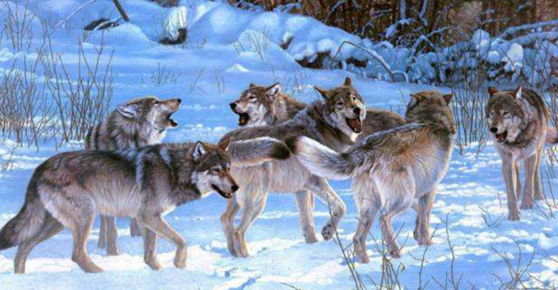 華為管理文化的兩個關(guān)鍵詞：簡單、狼狽為奸