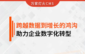 跨越數(shù)據(jù)到增長(zhǎng)的鴻溝，助力企業(yè)數(shù)字化轉(zhuǎn)型